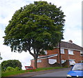 ST3288 : Bench with its back to a view, Upper Tennyson Road, Newport by Jaggery