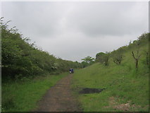  : Footpath in disused railway cutting by peter robinson