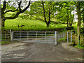 SJ9999 : Gate, Brushes Road/Pennine Bridleway by David Dixon