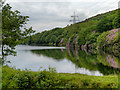 SJ9999 : Walkerwood Reservoir by David Dixon