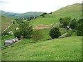 NY4318 : Steep hillside near Cotehow by Christine Johnstone