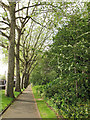 TQ2782 : St John's Wood church: churchyard path by Stephen Craven