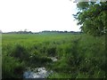 NU0039 : Arable field near Lowick by Graham Robson