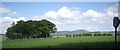 NJ5408 : View of Terry Chapel copse in summer by Stanley Howe