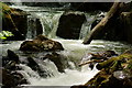 SH6806 : Nant Gwernol Waterfall, Gwynedd by Peter Trimming