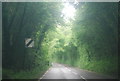 SX7753 : A381 north of Halwell by N Chadwick