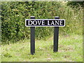 TG2800 : Dove Lane sign by Geographer