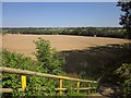 ST5839 : Wheat, Whitelake valley by Derek Harper