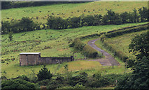  : Hillside track, Belfast by Albert Bridge