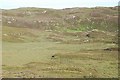 NM9101 : Boggy ground between Loch nan Cèard Mòr and Loch Gainmheach by Patrick Mackie