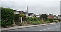 SE4310 : Flowery frontages, north side of Common Road by Christine Johnstone