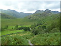 NY2904 : Above Blea Tarn House by Michael Graham