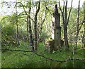 NH4940 : Old chimney, Teanacoil Sawmill by Craig Wallace