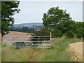 SK8602 : Waymarked footpath to Preston by Christine Johnstone