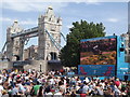 TQ3380 : Potters Fields - Big Screen by Colin Smith