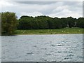 SK9307 : Rutland Water by Christine Johnstone