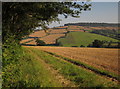 SX9279 : Harvested field by Oakpark Lane by Derek Harper