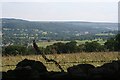 SK2373 : Distant view to Chatsworth by Dave Dunford