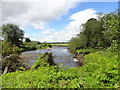 NZ2435 : The River Wear east of Page Bank by Robert Graham