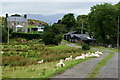 SH5940 : Farmhouse at Hir Ynys, Gwynedd by Peter Trimming