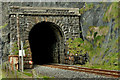 C7536 : Downhill railway tunnel by Albert Bridge