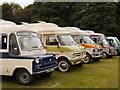 SD8203 : Dormobiles at Heaton Park by David Dixon