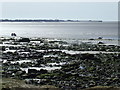 SD4767 : Low tide, Morecambe Bay by Malc McDonald