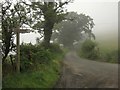 SH8504 : Junction on Glyndwr's Way by Derek Harper