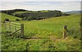 SH8404 : Gate on Glyndwr's Way by Derek Harper