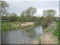 SP2186 : River Blythe nearing the M6 by Robin Stott