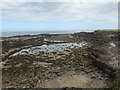 NU2329 : Comely Carr Rocks, Beadnell by Graham Robson