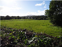  : Green field near Cappry by Ian Paterson