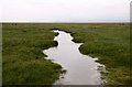 SD4768 : Drain in the marshland at Bolton-le-Sands by Steve Daniels