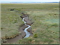 TF5825 : Tidal creek in the salt marsh near Ongar Hill by Richard Humphrey