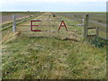 TF5825 : E A on a five barred gate on the sea bank by Richard Humphrey