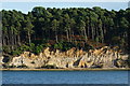 SZ0188 : Brownsea Island, Dorset by Peter Trimming