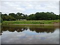 SO8164 : Caravans near the east bank of the Severn by Christine Johnstone