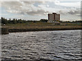 SJ8196 : Manchester Ship Canal, Pomona Dock 1 by David Dixon