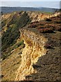 SY3793 : Cliff edge, Stonebarrow by Derek Harper