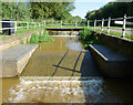 SJ8354 : Lock overflow channel by Harding's Wood, Staffordshire by Roger  D Kidd