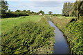 ST6192 : Drainage channel at Oldbury-on-Severn by Philip Halling