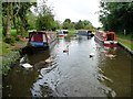 SP0272 : Swan family and moored narrowboats near bridge 60 by Christine Johnstone