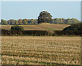 TA0715 : Howe Hill Round Barrow by David Wright