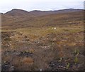 NH3317 : Tree planting, on moorland above the Allt Iarairidh by Craig Wallace