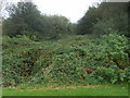 SO9295 : Football Pitch View by Gordon Griffiths