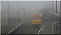 TA0509 : Fog at Barnetby Station by roger geach