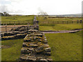 NY6166 : Birdoswald Roman Fort by David Dixon