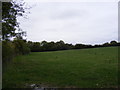 TM4072 : Field near the Bridleway to Sibton Road by Geographer