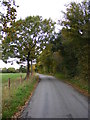 TM3973 : Yoxford Road, Bramfield by Geographer