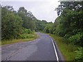 NM6965 : Curving road through the dense broadleaf forest by C Michael Hogan